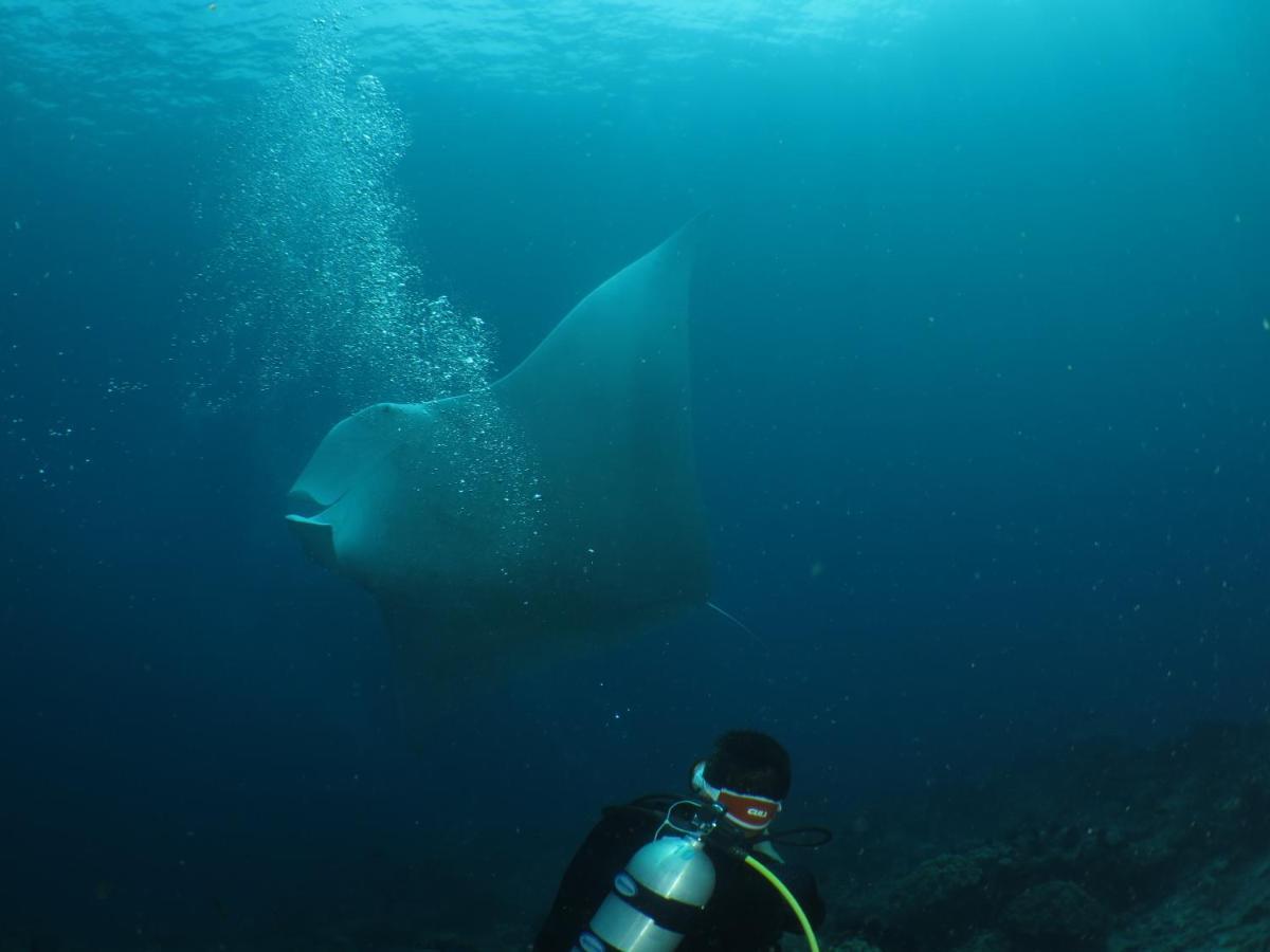 Hamueco Dive Resort Raja Ampat Rabia Buitenkant foto