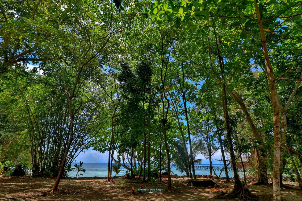 Hamueco Dive Resort Raja Ampat Rabia Buitenkant foto