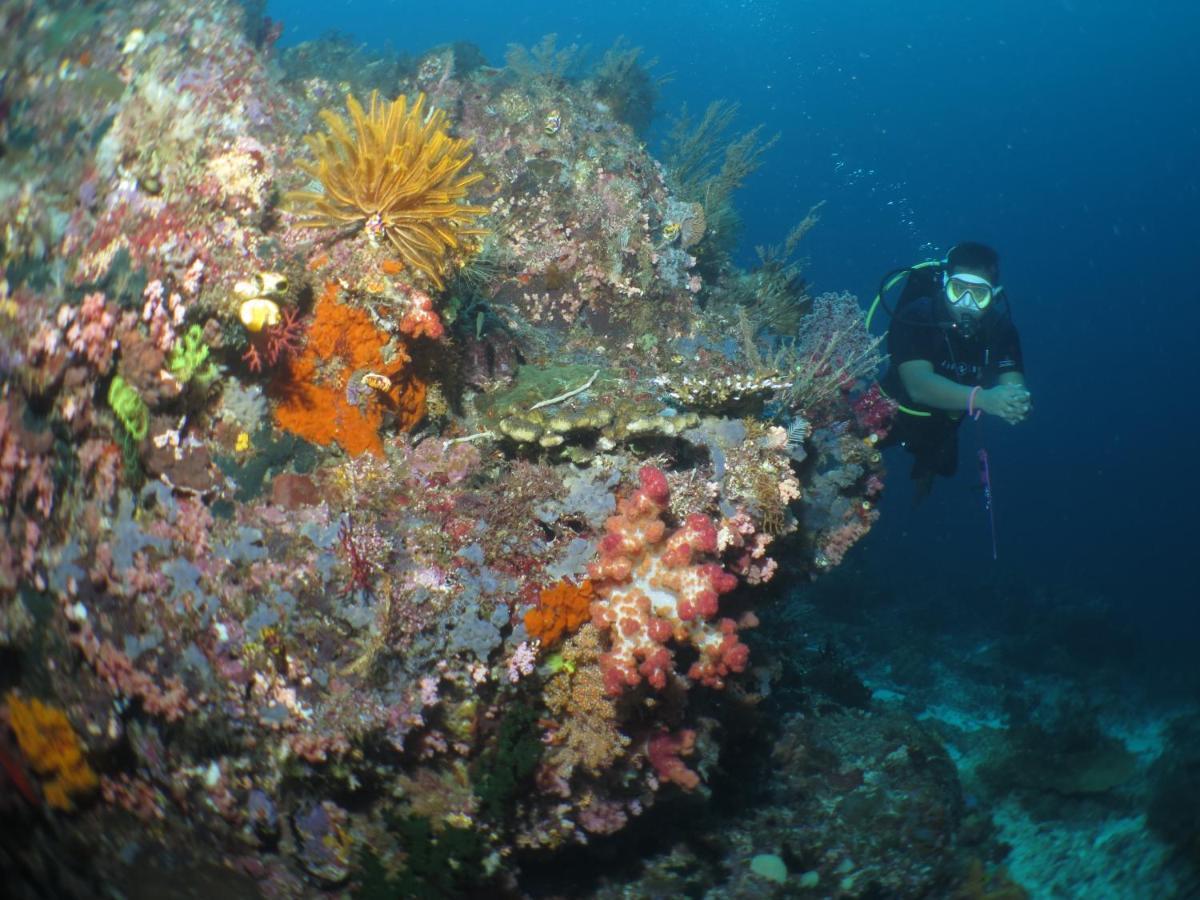 Hamueco Dive Resort Raja Ampat Rabia Buitenkant foto